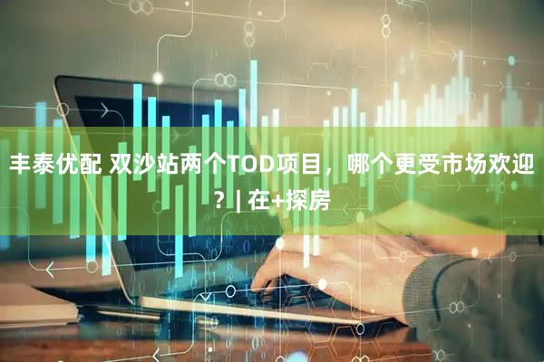 丰泰优配 双沙站两个TOD项目，哪个更受市场欢迎？| 在+探房