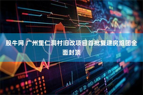 股牛网 广州里仁洞村旧改项目首批复建房组团全面封顶