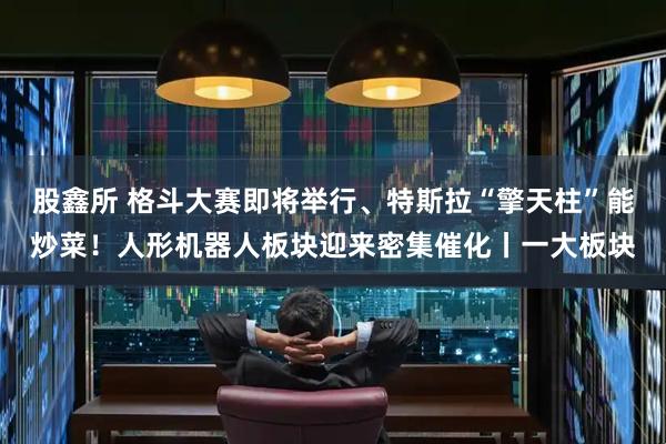 股鑫所 格斗大赛即将举行、特斯拉“擎天柱”能炒菜！人形机器人板块迎来密集催化丨一大板块