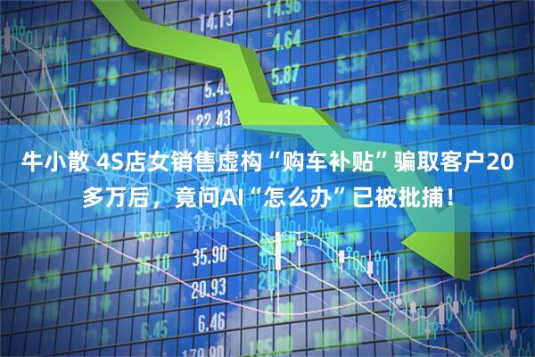 牛小散 4S店女销售虚构“购车补贴”骗取客户20多万后，竟问AI“怎么办”已被批捕！