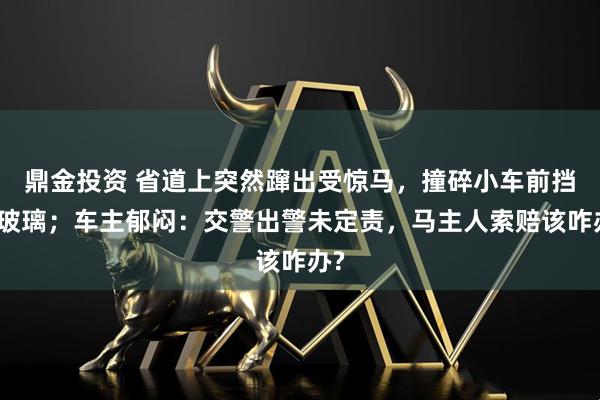 鼎金投资 省道上突然蹿出受惊马，撞碎小车前挡风玻璃；车主郁闷：交警出警未定责，马主人索赔该咋办?