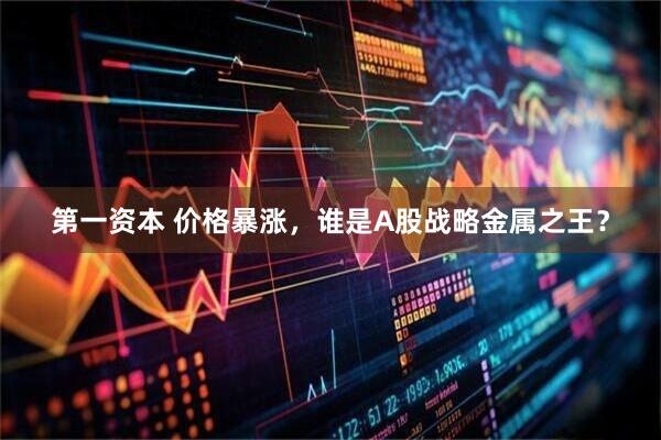 第一资本 价格暴涨，谁是A股战略金属之王？