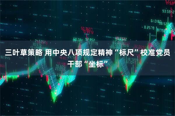 三叶草策略 用中央八项规定精神“标尺”校准党员干部“坐标”