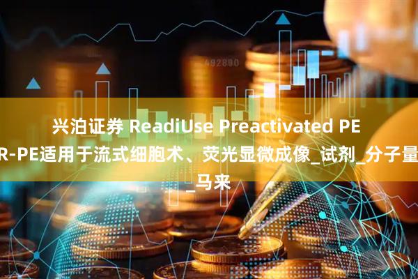 兴泊证券 ReadiUse Preactivated PE mal-R-PE适用于流式细胞术、荧光显微成像_试剂_分子量_马来