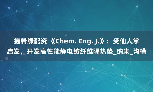捷希缘配资 《Chem. Eng. J.》：受仙人掌启发，开发高性能静电纺纤维隔热垫_纳米_沟槽