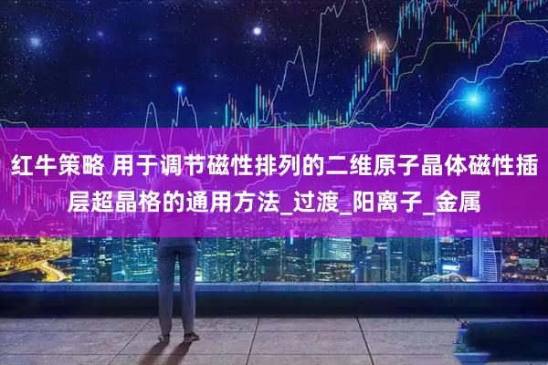 红牛策略 用于调节磁性排列的二维原子晶体磁性插层超晶格的通用方法_过渡_阳离子_金属