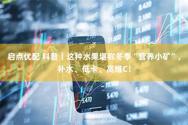 启点优配 科普｜这种水果堪称冬季“营养小矿”，补水、低卡、高维C！