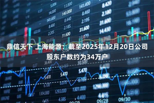 鼎信天下 上海能源：截至2025年12月20日公司股东户数约为34万户